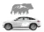 13553.webp