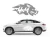 13556.webp