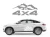 13560.webp
