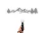 13136.webp