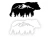 12472.webp