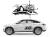 12471.webp