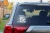 8449.webp