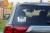 8445.webp