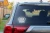 8433.webp