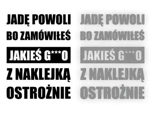 8397.webp