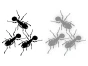 8382.webp