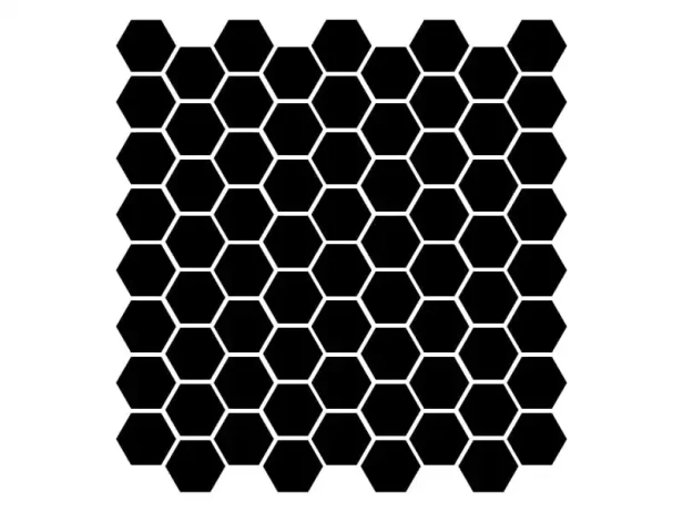 8307.webp