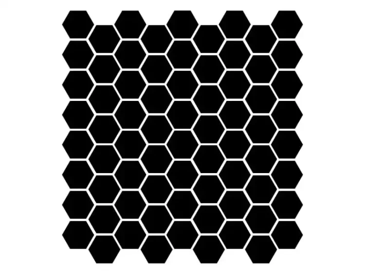 8307.webp