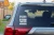 8243.webp