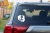8111.webp