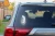 8116.webp