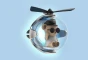 7834.webp