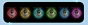 7835.webp