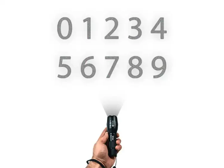 7558.webp