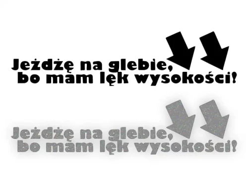 7513.webp