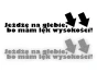 7513.webp