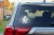 7444.webp