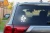 7432.webp