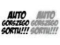 7317.webp