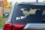 7307.webp