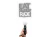 7282.webp