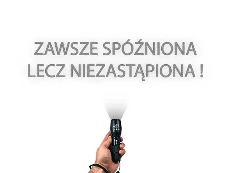 7202.webp