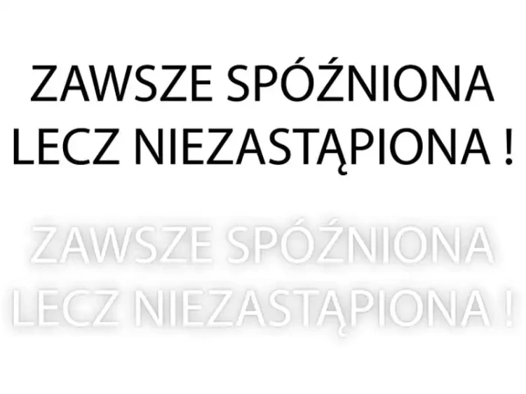7196.webp