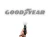 7164.webp