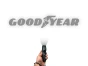 7164.webp