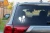 7094.webp