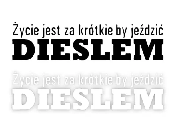 6893.webp