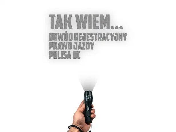 6923.webp