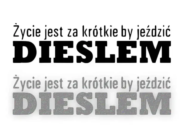 6898.webp