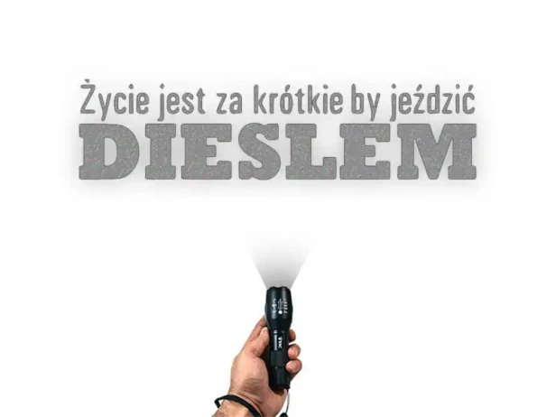 6899.webp