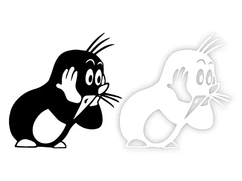 6621.webp