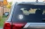 6692.webp