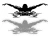 6554.webp