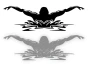 6554.webp