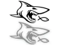 6530.webp