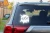 13584.webp