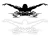6549.webp