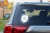 13354.webp