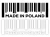 6393.webp