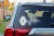 13386.webp
