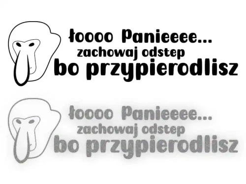 13225.webp