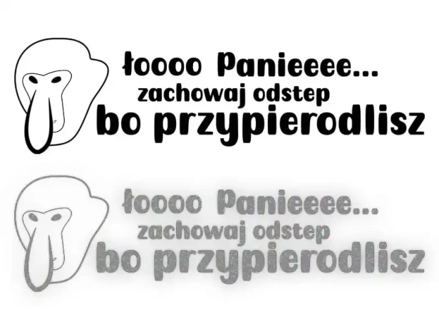 13225.webp