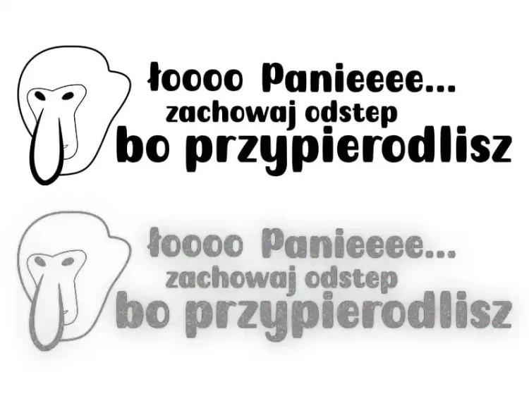 13225.webp