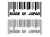 13425.webp
