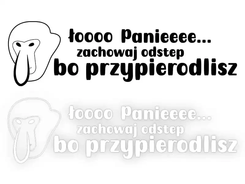 13223.webp